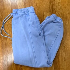 Free people Sweat Pants